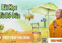 Bài Học Từ Bó Đũa – Thích Phước Tiến bai hoc tu bo dua thich phuoc ti