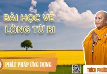 Bài Học Về Lòng Từ Bi (The Lesson Of Loving Kindness & Compassion) – Thích Phước Tiến bai hoc ve long tu bi the lesson
