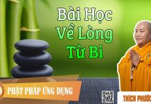 Bài Học Về Lòng Từ Bi – Thích Phước Tiến bai hoc ve long tu bi thich phuo