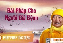 Bài Pháp Cho Người Già Bệnh – Thích Thanh Từ bai phap cho nguoi gia benh thic