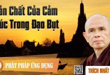 Bản Chất Của Cảm Xúc Trong Đạo Bụt – Thích Nhất Hạnh ban chat cua cam xuc trong dao b