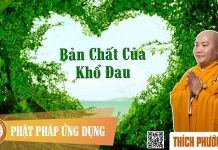 Bản Chất Của Khổ Đau – Thích Phước Tiến ban chat cua kho dau thich phuoc