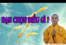 Bạn Chọn Điều Gì – Thích Thiện Tuệ ban chon dieu gi thich thien tue