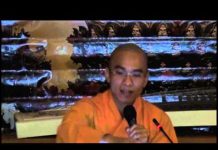 Bản Năng và Lý Trí – Thích Thiện Tuệ ban nang va ly tri thich thien t