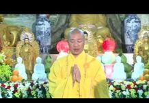 Báo Hiếu Cha Mẹ Qua Tinh Thần Kinh Đại Báo Phụ Mẫu Trọng Ân – Thích Thiện Thuận bao hieu cha me qua tinh than ki