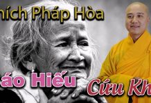 Báo Hiếu Cứu Khổ – Thích Pháp Hòa bao hieu cuu kho thich phap hoa