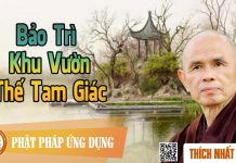 Bảo Trì Khu Vườn – Thế Tam Giác – Thích Nhất Hạnh bao tri khu vuon the tam giac th