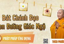 Bát Chánh Đạo Con Đường Giác Ngộ – Thích Phước Tiến bat chanh dao con duong giac ngo 1