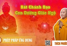 Bát Chánh Đạo Con Đường Giác Ngộ English Subtitle – Thích Phước Tiến bat chanh dao con duong giac ngo