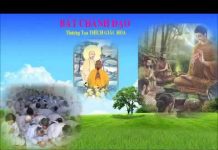 Bát Chánh Đạo Phần 1 – Thích Giác Hóa bat chanh dao phan 1 thich giac
