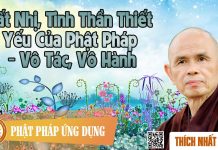 Bất Nhị, Tinh Thần Thiết Yếu Của Phật Pháp – Vô Tác, Vô Hành – Thích Nhất Hạnh bat nhi tinh than thiet yeu cua