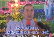 Bảy Bước Đi Trên Đường Giác Ngộ – Thích Nữ Như Lan bay buoc di tren duong giac ngo