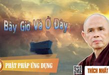 Bây Giờ Và Ở Đây – Thích Nhất Hạnh bay gio va o day thich nhat hanh