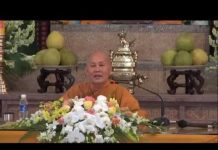 Bầy Ngựa Hoang Dã – Thích Nữ Tâm Tâm bay ngua hoang da thich nu tam t