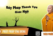 Bảy Pháp Thành Tựu Giác Ngộ (The Seven Factors Of Enlightenment) – Thích Phước Tiến bay phap thanh tuu giac ngo the