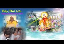 Bảy Thứ Lửa – Thích Giác Hóa bay thu lua thich giac hoa