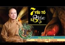 Bảy Yếu Tố Giác Ngộ – Thích Pháp Hòa bay yeu to giac ngo thich phap h