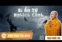 Bí Ẩn Từ Nghịch Cảnh – Thích Phước Tiến bi an tu nghich canh thich phuoc