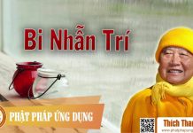 Bi Nhẫn Trí – Thích Thanh Từ bi nhan tri thich thanh tu