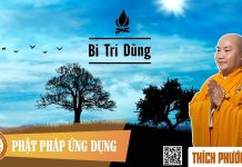 Bi Trí Dũng, Tính Đặc Thù Trong Đạo Phật – Thích Phước Tiến bi tri dung tinh dac thu trong d