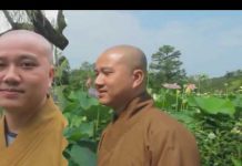 Bích câu Kỳ Ngộ – Thích Pháp Hòa bich cau ky ngo thich phap hoa 1