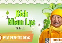 Bích Nham Lục Phần 1 – Thích Thanh Từ bich nham luc phan 1 thich thanh