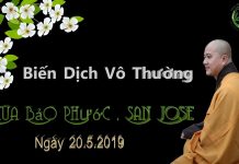 Biến dịch vô thường – Thích Pháp Hòa bien dich vo thuong thich phap h