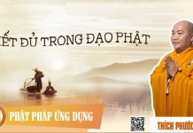 Biết Đủ Trong Đạo Phật (Satisfaction In Buddhism) – Thích Phước Tiến biet du trong dao phat satisfact