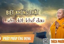 Biết Không Thật Liền Dứt Khổ Đau (KT71) – Thích Phước Tiến 2016 biet khong that lien dut kho dau