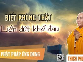 Biết Không Thật Liền Dứt Khổ Đau (KT71) – Thích Phước Tiến 2016 biet khong that lien dut kho dau