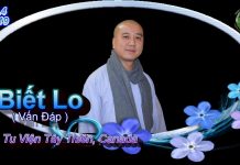 Biết lo (vấn đáp) – Thích Pháp Hòa biet lo van dap thich phap hoa
