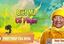 Biết Mà Cố Phạm – Thích Thanh Từ biet ma co pham thich thanh tu