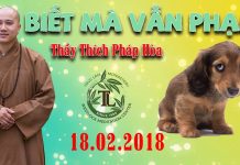 Biết Mà Vẫn Phạm – Thích Pháp Hòa biet ma van pham thich phap hoa