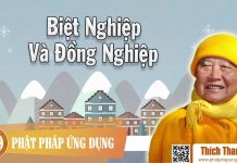 Biệt Nghiệp Và Đồng Nghiệp – Thích Thanh Từ biet nghiep va dong nghiep thich