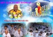 Biết Quán Kỹ Biết Buông Xả – Thích Giác Hóa biet quan ky biet buong xa thich