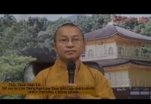 Biết Thương Chính Mình – Thích Nhật Từ biet thuong chinh minh thich nha