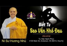 Biết Tu Sao Vẫn Khổ Đau – Thích Nữ Hương Nhũ biet tu sao van kho dau thich nu