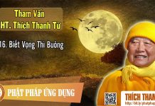 Biết Vọng Thì Buông – Tham vấn HT Thích Thanh Từ 16 biet vong thi buong tham van ht
