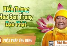 Biểu Tượng Hoa Sen Trong Đạo Phật – Thích Thanh Từ bieu tuong hoa sen trong dao pha 1