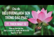 Biểu Tượng Hoa Sen Trong Đạo Phật – Thích Nhật Từ bieu tuong hoa sen trong dao pha