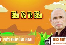 Biểu Và Vô Biểu – Thích Nhất Hạnh bieu va vo bieu thich nhat hanh