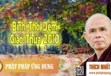 Bình Thơ Đêm Giao Thừa năm 2010 – Thích Nhất Hạnh binh tho dem giao thua nam 2010