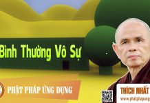 Bình Thường Vô Sự – Thích Nhất Hạnh binh thuong vo su thich nhat han