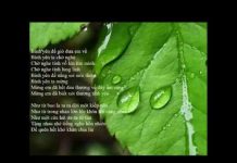 Bình Yên – Thích Minh Niệm binh yen thich minh niem