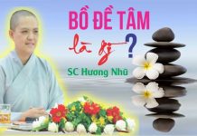Bồ Đề Tâm Là Gì – Thích Nữ Hương Nhũ bo de tam la gi thich nu huong n