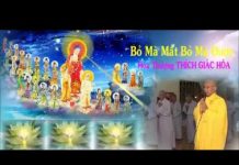 Bỏ Mà Mất Bỏ Mà Được – Thích Giác Hóa bo ma mat bo ma duoc thich giac