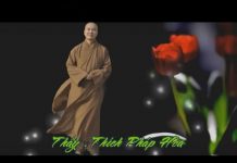 Bồ Tát Bất Thối 3 – Thích Pháp Hòa bo tat bat thoi 3 thich phap hoa