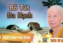 Bồ Tát Đa Hạnh – Thích Trí Quảng bo tat da hanh thich tri quang