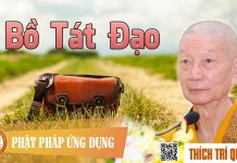 Bồ Tát Đạo – Thích Trí Quảng bo tat dao thich tri quang