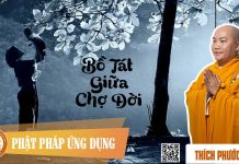 Bồ Tát Giữa Chợ Đời (The Bodhisattva In Real Life) – Thích Phước Tiến bo tat giua cho doi the bodhisat